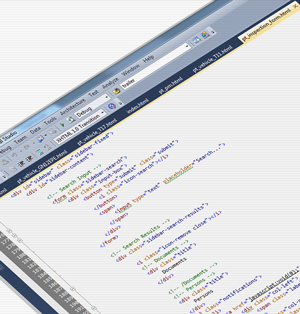 Software Development